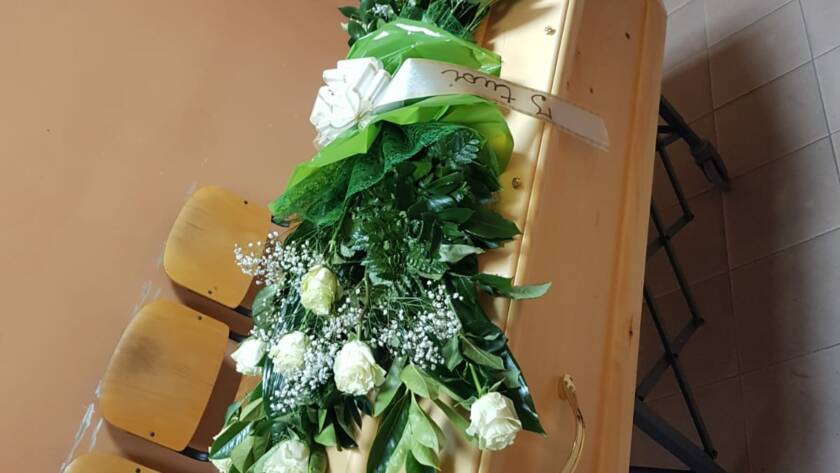 Rose bianche 2